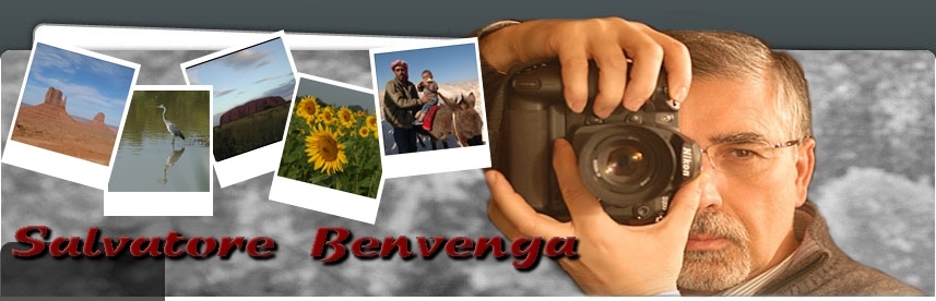 bensaver home page